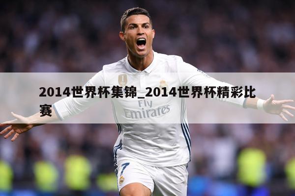 2014世界杯集锦_2014世界杯精彩比赛