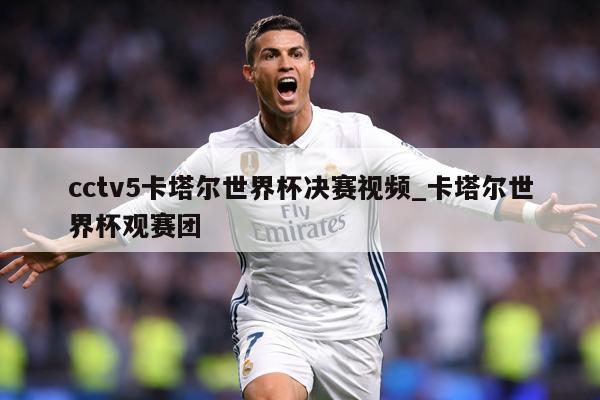 cctv5卡塔尔世界杯决赛视频_卡塔尔世界杯观赛团