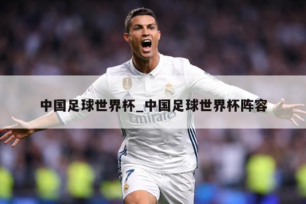 中国足球世界杯_中国足球世界杯阵容