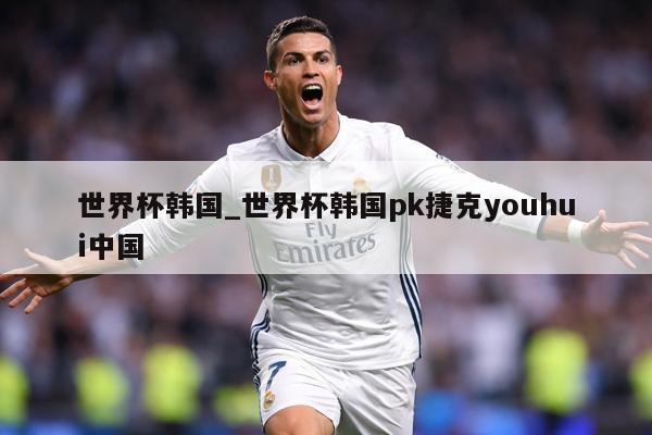 世界杯韩国_世界杯韩国pk捷克youhui中国